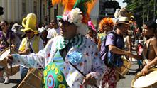 Imagens mostram integrantes do bloco Pirô-Piraquara no desfile do ano passado