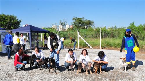 Imagem mostra donos posando com seus cães durante campanha