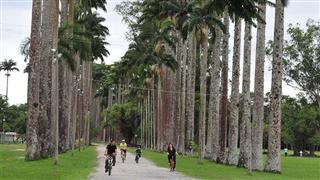 O Parque da Cidade em um paraíso verde repleto de obras arquitetônicas e de locais para visitação, como o Espaço 4 Patas e o Museu 