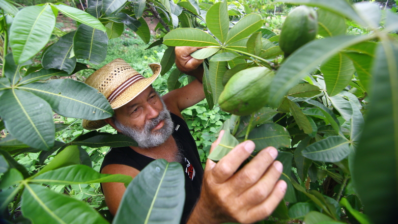  O aposentado Vicente Carlos Corrá, 65 anos, já participou do plantio de cerca de 200 mudas para reflorestar as margens do Alambari