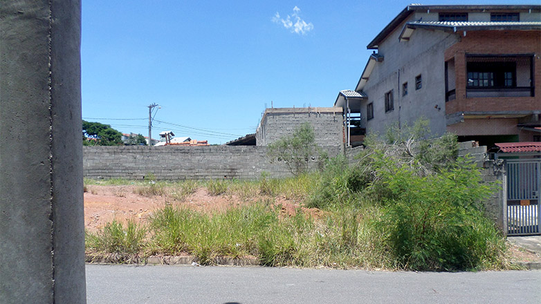 Os proprietários de 181 terrenos foram notificados devido a irregularidades como mato alto, acúmulo de lixo e falta de limpeza