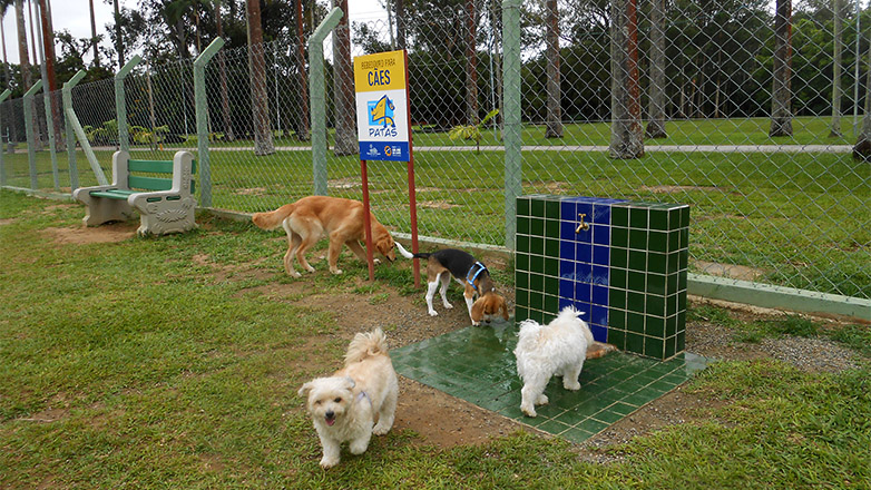 Espaço 4 Patas registra mais de 4 mil visitantes