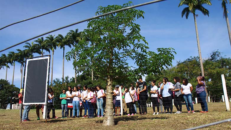 O Baobá é o único na Região do Vale do Paraíba e um dos poucos do Brasil. Outro está localizado em Pernambuco, tem 350 anos de idade