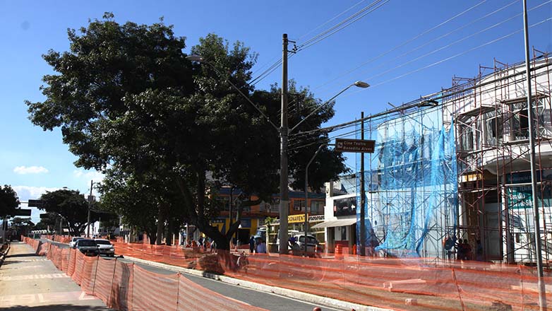 A retirada e o replantio de um Ipê Roxo é uma  operação, inédita na cidade e faz parte da modernização e revitalização do Novo Centro.