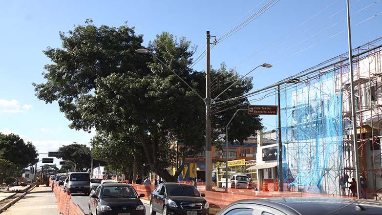 A retirada e o replantio de um Ipê Roxo é uma  operação, inédita na cidade e faz parte da modernização e revitalização do Novo Centro.