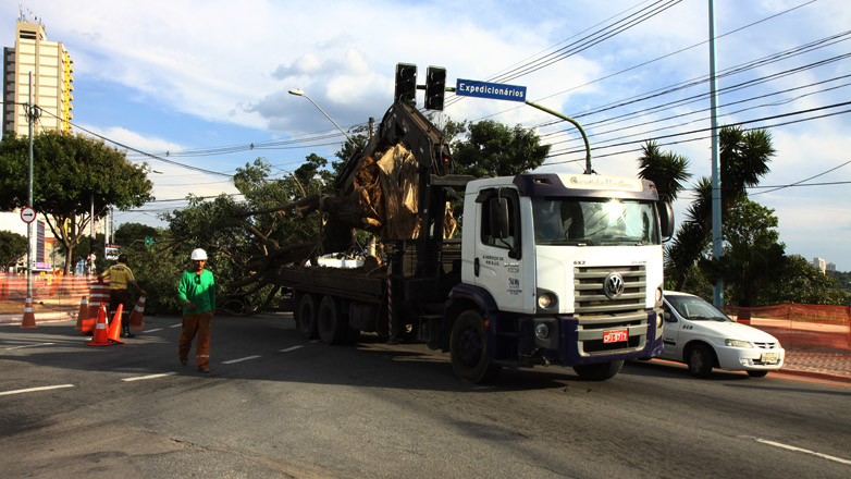 A remoção da árvore levou 6 horas. Após a retirada, ela foi transportada para o Parque Boa Vista, uma nova área de lazer de SJC