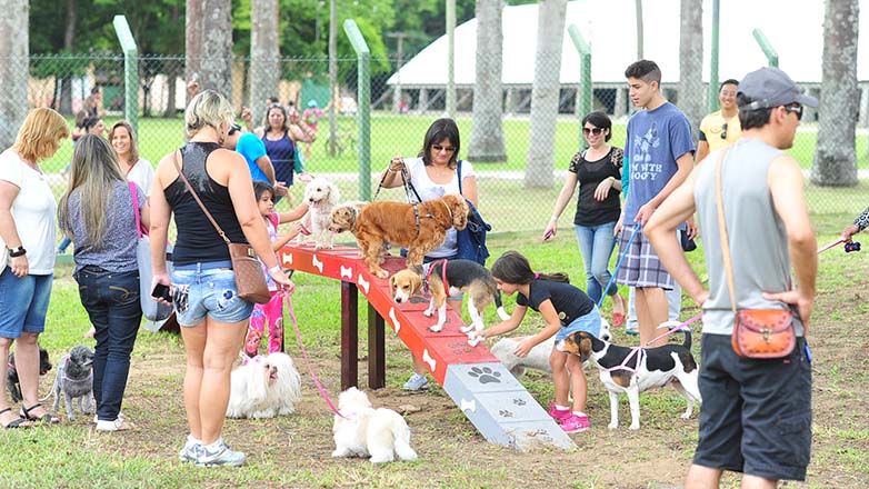 Residência Olivo Gomes
