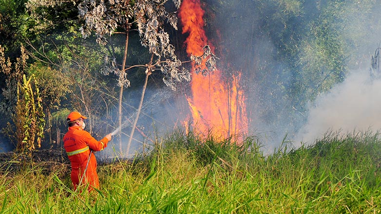 Defesa Civil orienta população a evitar ocorrências de fogo na estiagem