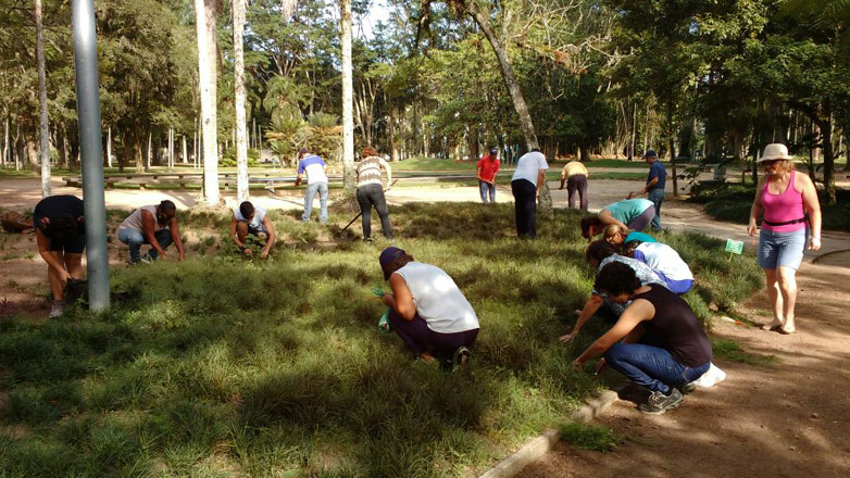 Curso de Jardinagem