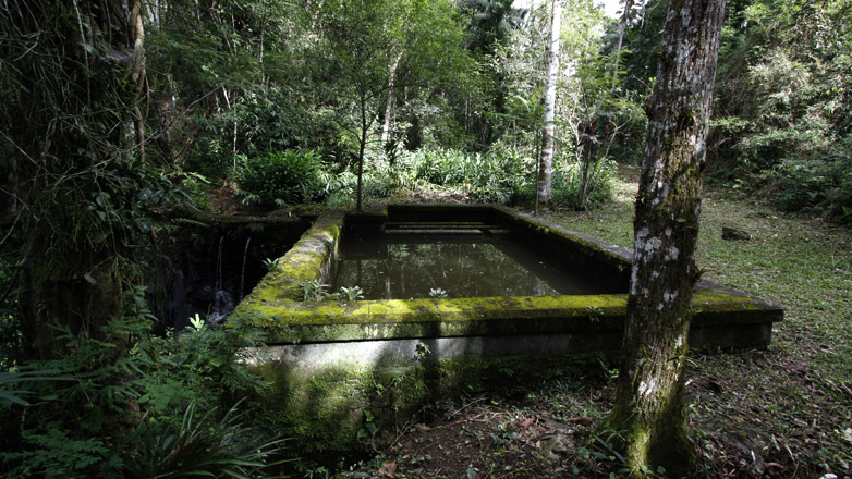 Parque Natural Municipal Augusto Ruschi