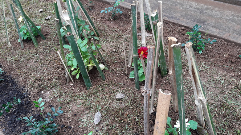Qualifica forma turma do curso Hortas, Jardinagem e Paisagismo 