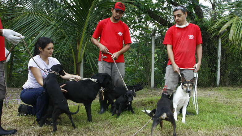 CCZ incentiva posse responsável de animais