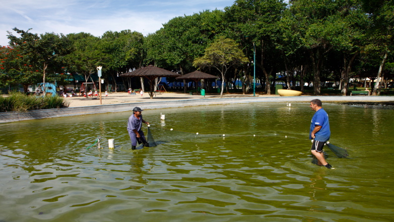 Limpeza do lago do Parque Santos Dumont