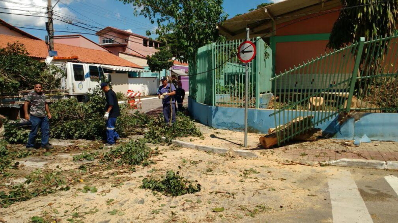 Trabalhadores removem árvores e galhos dos locais atingidos pelo temporal