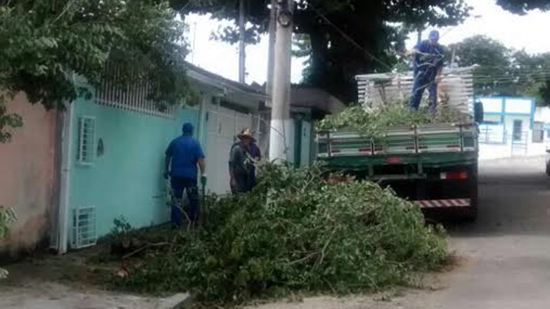 Trabalhadores removem árvores e galhos dos locais atingidos pelo temporal