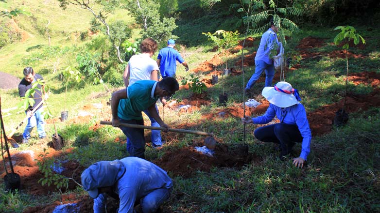 Plantio de mudas de árvores nativas na Fazenda Banco da Serra, em São Francisco Xavier