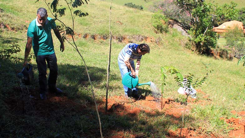 Plantio de mudas de árvores nativas na Fazenda Banco da Serra, em São Francisco Xavier