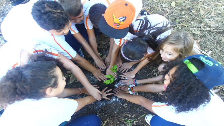 Alunos da Escola Municipal Waldemar Ramos participam do plantio de mudas na Vista Verde