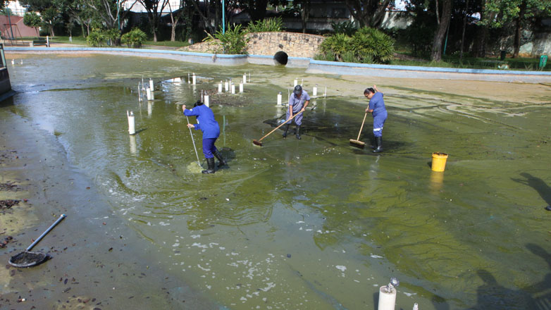 Funcionários fazem limpeza do lago principal do Parque Santos Dumont