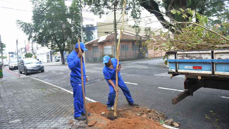 Funcionários plantam mudas na calçada da Avenida Major Antônio Domingues