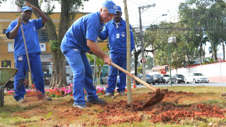 O monitoramento das novas figueiras será semelhante ao adotado em relação às 300 árvores centenárias e históricas do município