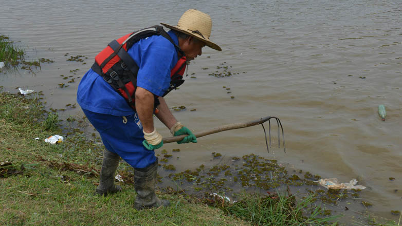 A primeira etapa do trabalho consiste na limpeza manual do lago e no seu entorno para retirada, principalmente, de mato e vegetação