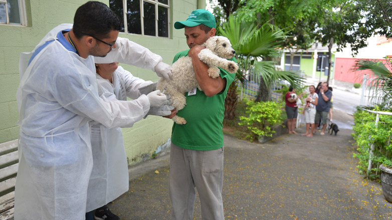 A campanha de vacinação, que começou no dia 2 de outubro, já imunizou quase 7.500 animais