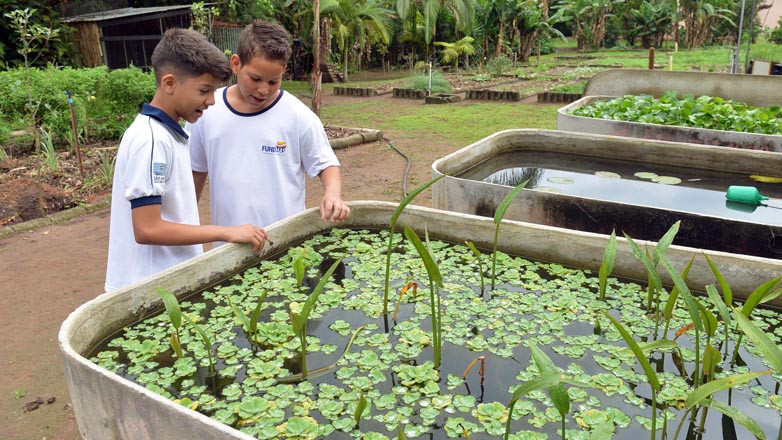 Crianças de 6 a 14 anos participaram de uma visita monitorada, conheceram os viveiros de plantas e a horta orgânica, realizaram a colheita de morangos e de acerola